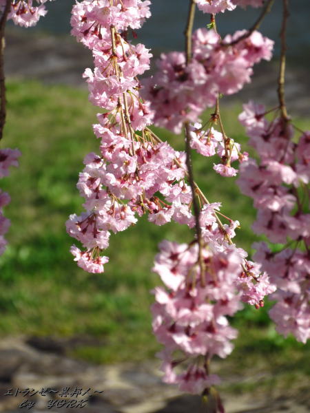 2264�޿���120414