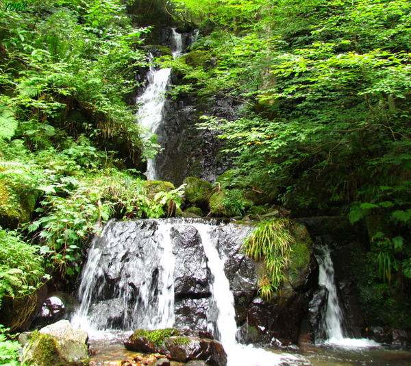 ���ޥ��ѡ�3804���ߤ���960��854