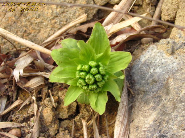 1696�դ��ΤȤ�120311