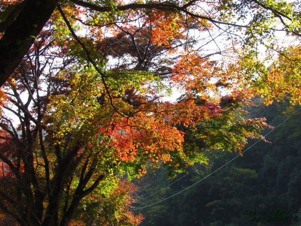 0617��̤ι���131109