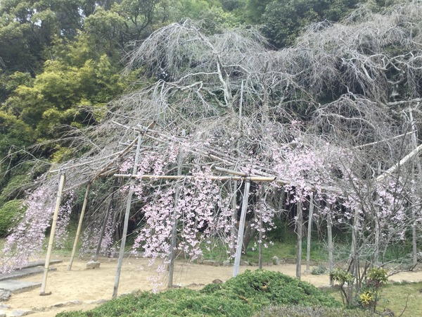 3614D899-85B2-4FAA-B3BC-E69FDC6FFA6D