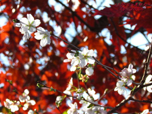 0891�͵����ȹ���131124