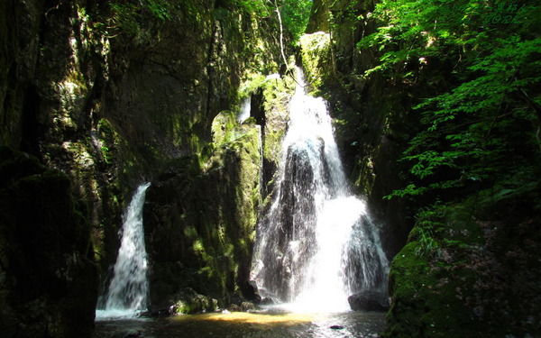 �ɻ桡2288������ư��1280��800