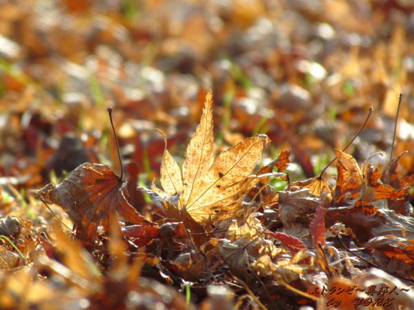 5957����130120