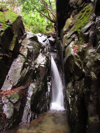 0512εƬ����ʿ����ԡ�