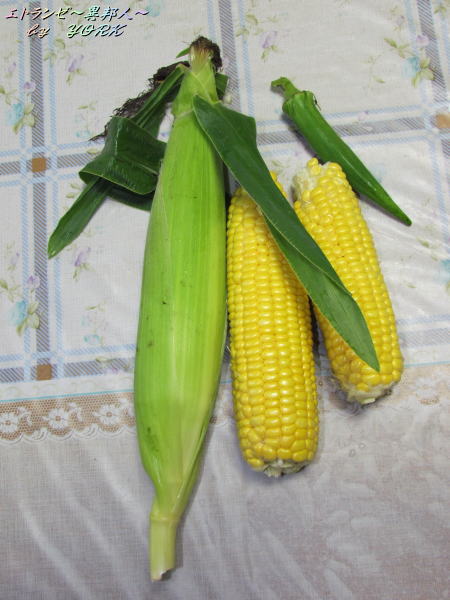 7949����130718