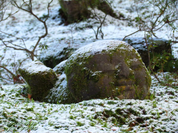 1168��ž�֤�����¢111225