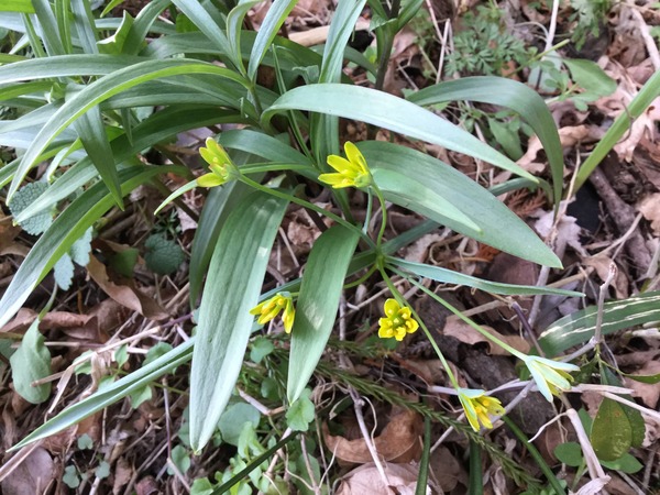 524108C5-FA81-4BCE-A233-5D7B3A6E6C07