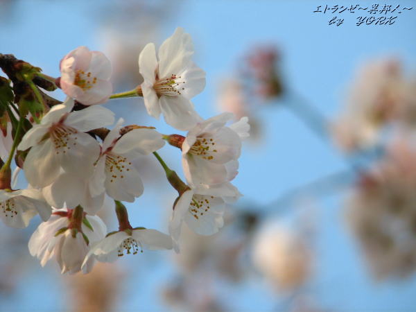 0037���Ķ���110403