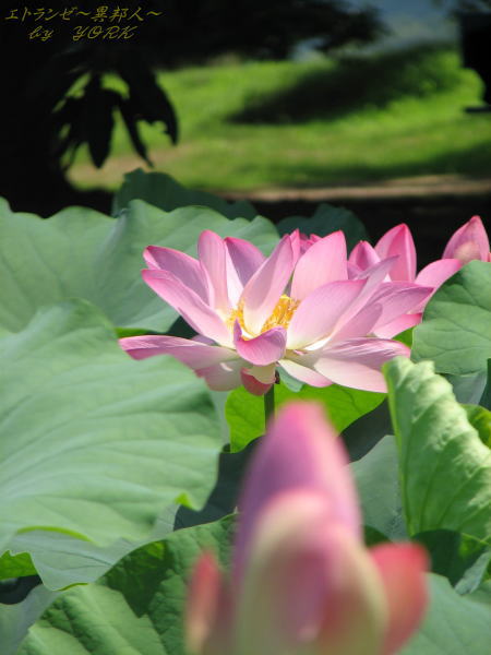 1203ϡ����110710