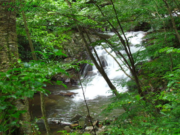 3603��ƶ���첼��140906