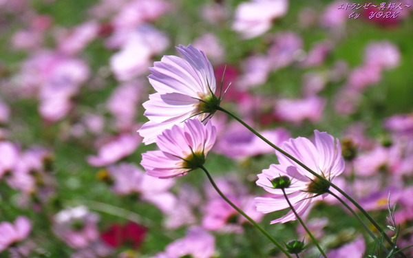 �ɻ桡4714����1280&times;800