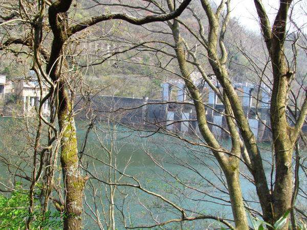 1018�򸶥���140426