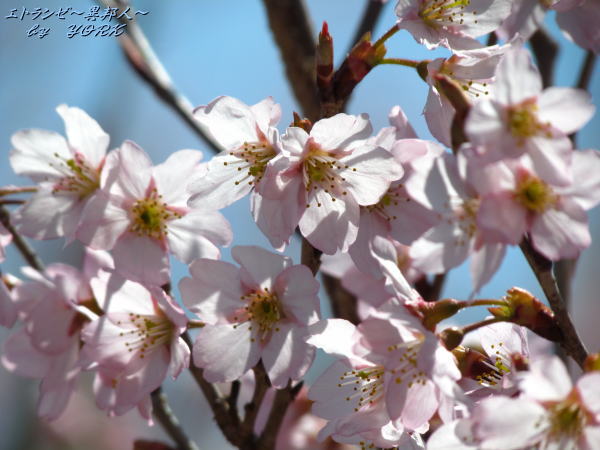 0546�Ķ�����餭�κ�140322