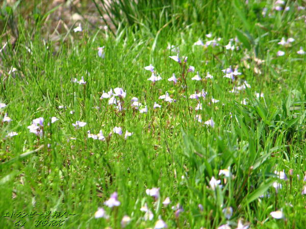 0648����Ȼ�β�110520