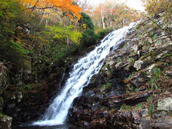 0493��������161113