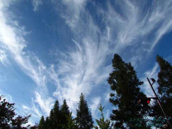 0453���ζ��ȱ�111023