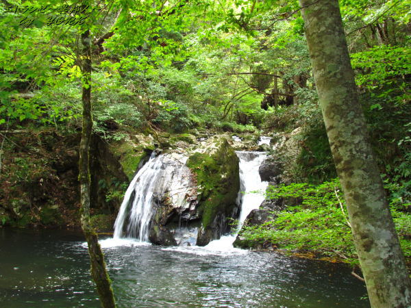 9632������ư�����131013