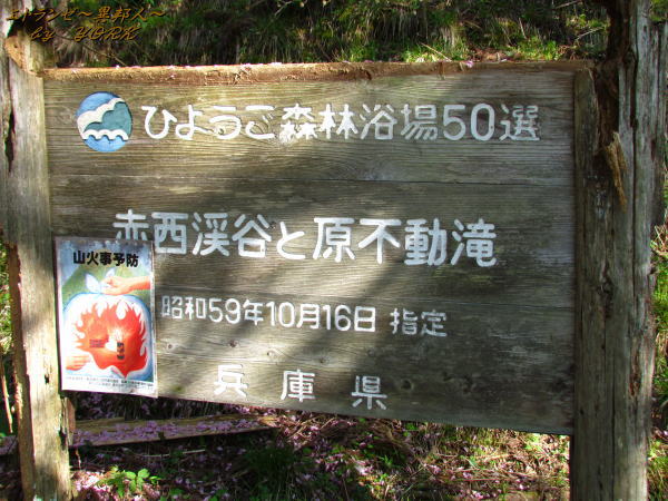 8480����ư��δ���150505