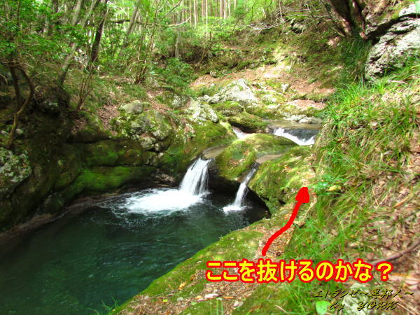 4653ŷ��ʥ��ȴ�����ϡ�140920