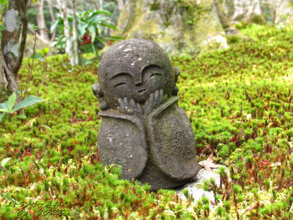 5854��Ԥ�����Τ���¢��121223