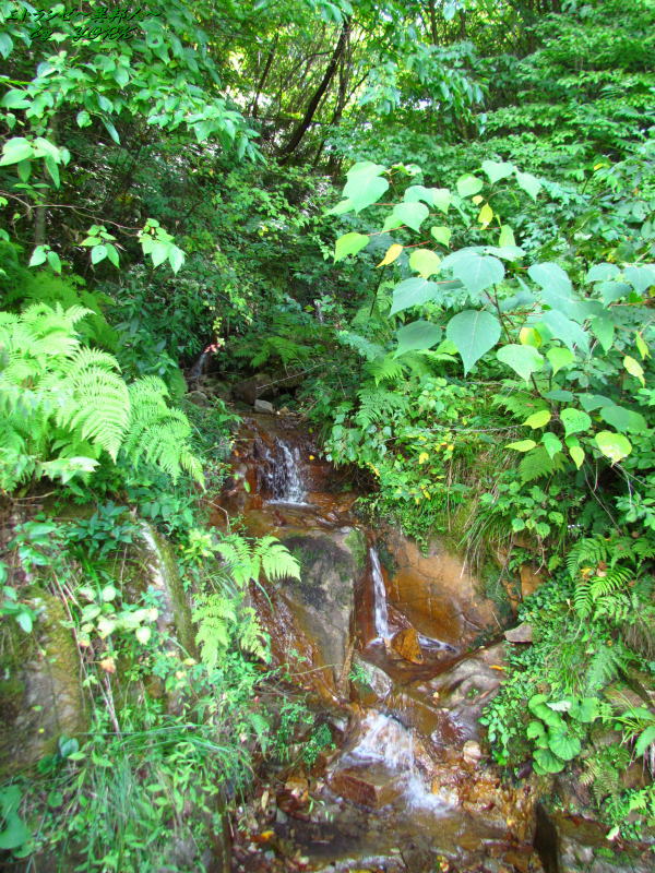 3660������줫�ʡ�140914