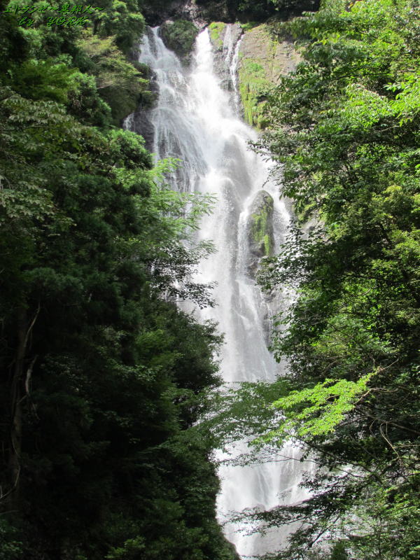 4423��������120819