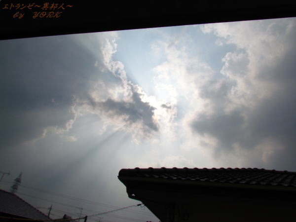 7968����Ȳ���130727