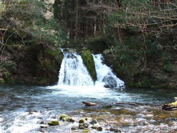 3158������ư�����170415