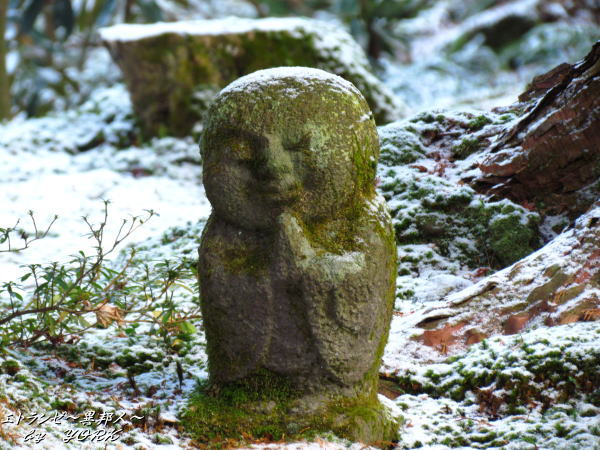 1172������¢111225