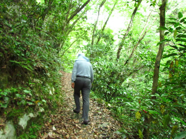 7509��ƻ�򥨥å��饪�å���130526