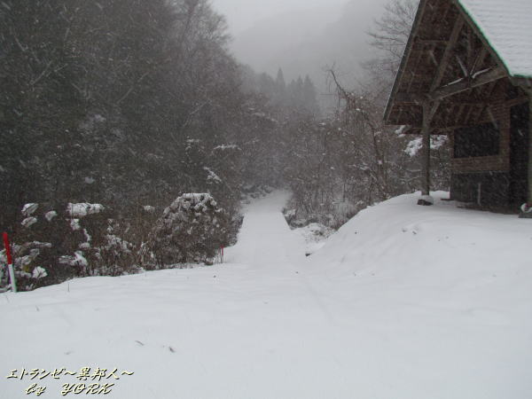 6643Ω�ɤ�����ȥ���ΤȤ���141213