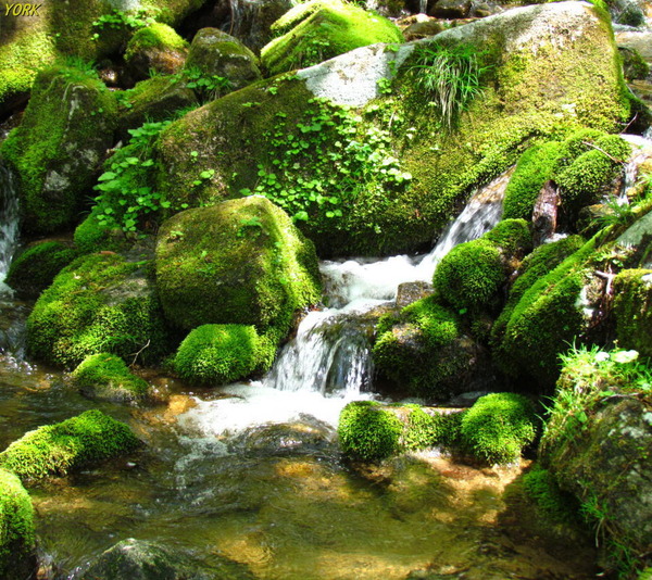 ���ޥ��ѡ�1396��ή�������ҡ�960��854