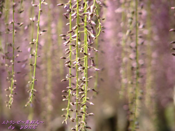 0545ƣ���110508