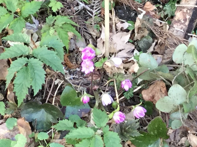 01D2F6F2-F992-4D95-B758-9266D055E7F2