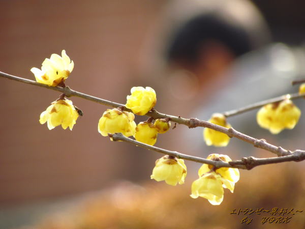 1413����������Х�120122