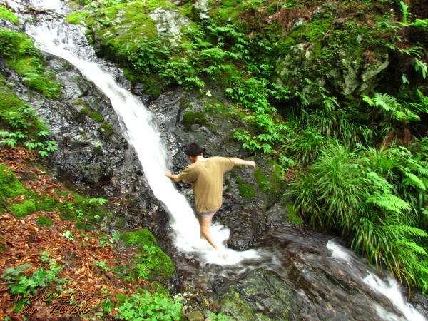 9131��ͷ�Ӥ�ڤ���©��150620