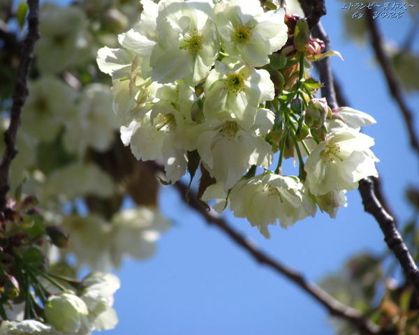 �ɻ桡6812ݵ���1280&times;1024