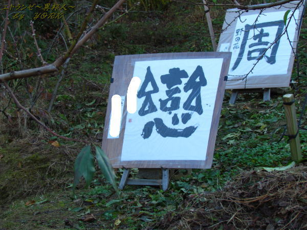 6221��ȩ�˾���줿��141122