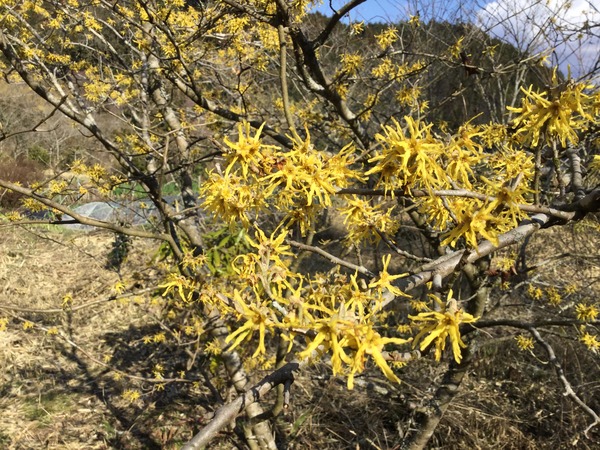 AF9A2E4B-0FA1-4B32-9F6B-9439641135A9