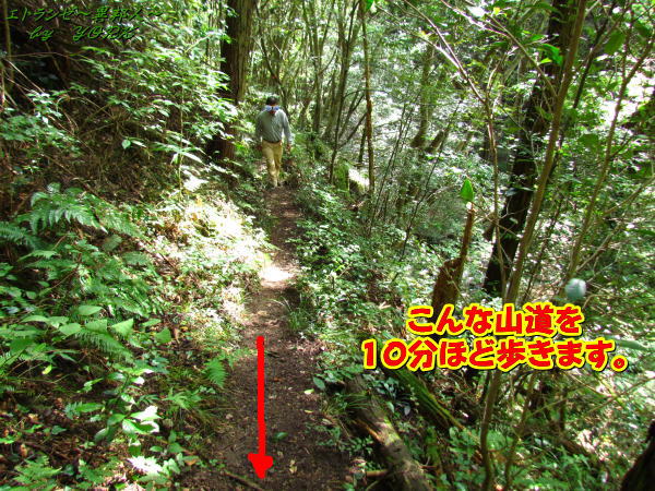 3567���ڤ����⤯ƻ140831