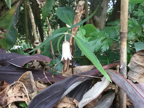 6B4FF28E-92B2-4A05-BD06-E4D9847FF87A