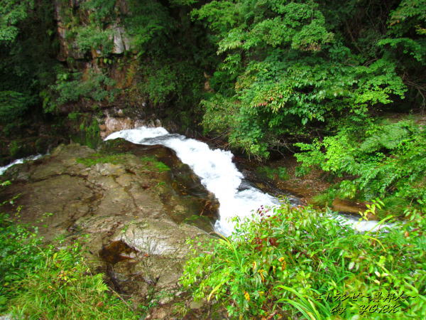 3594��ƶ�������140906