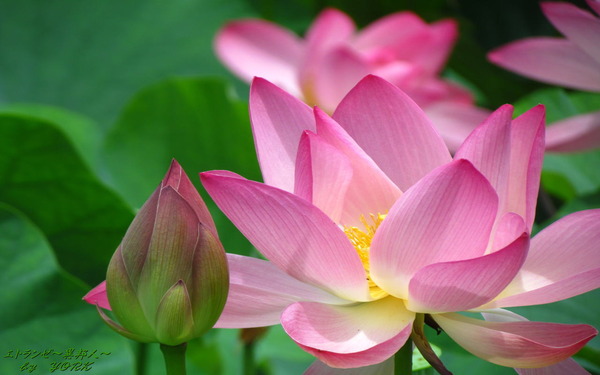 �ɻ桡9271ϡ��������ǯ��1280��800