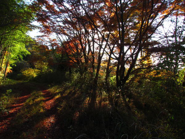 0815����ǡ������131123