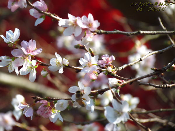 5414�͵���121125