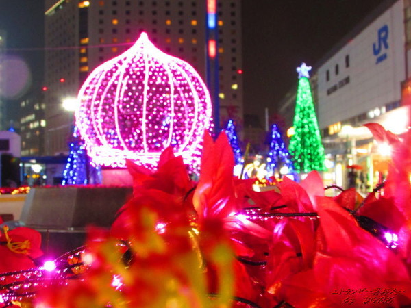 0400����ߥ͡�����󾯤��ܤ�161222