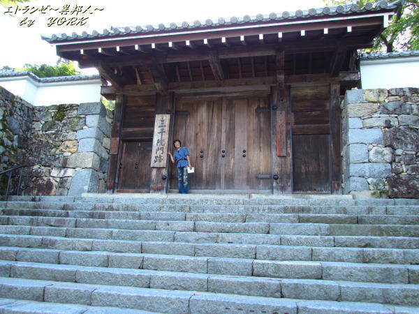 4319���鱡����120816