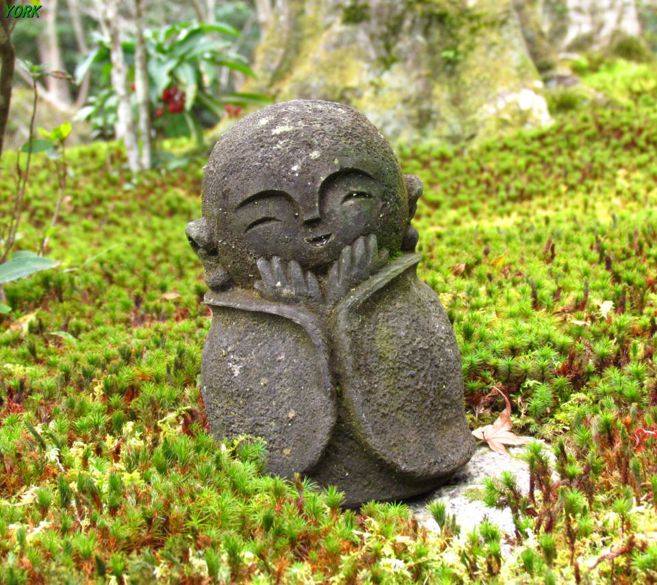 JC圓光 