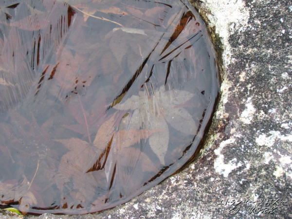 5807�Ĥ��������121224